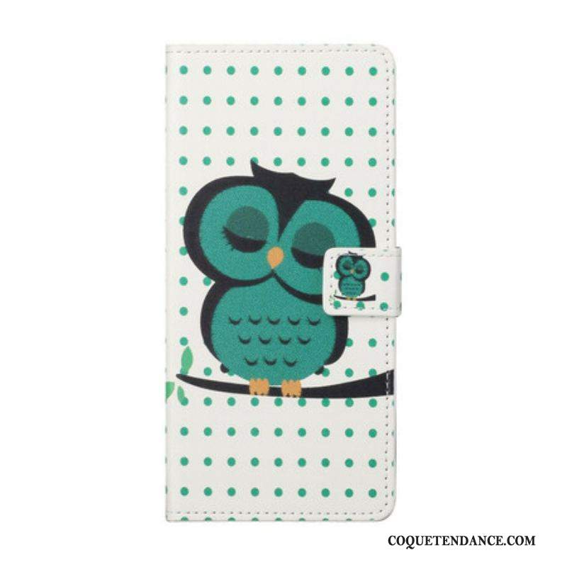 Housse Samsung Galaxy S21 FE Hibou Endormi